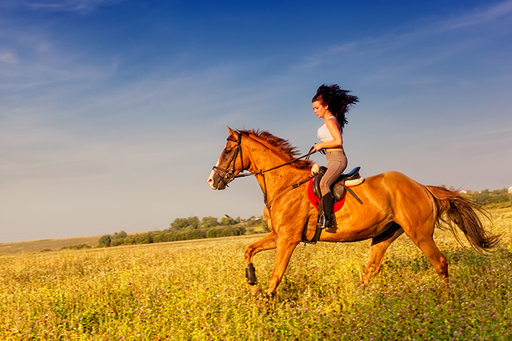 6 Best Horseback Riding Services in Alaska!