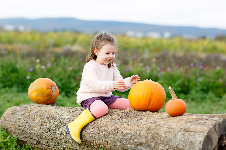 pumpkin patch cordova tn