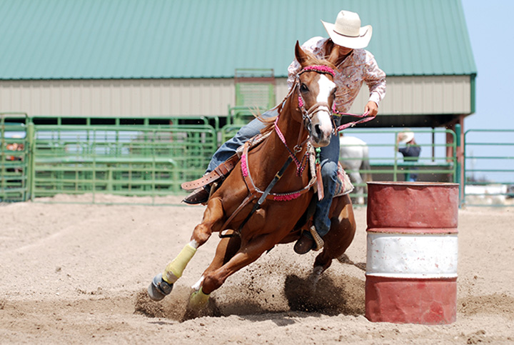 10 Fun Facts About the Texas Rodeo