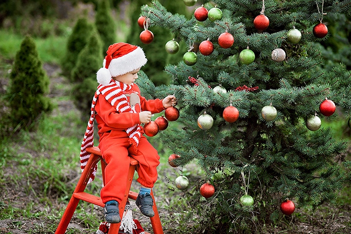 9 Best Christmas Tree Farms in California