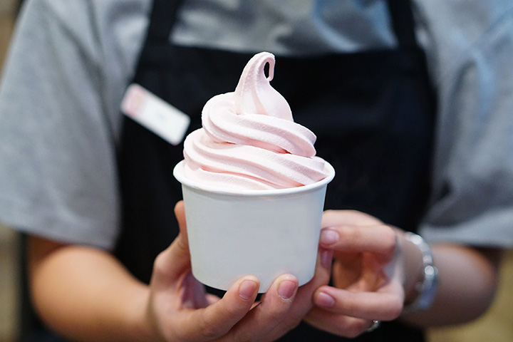 8 Best Frozen Yogurt Places in California