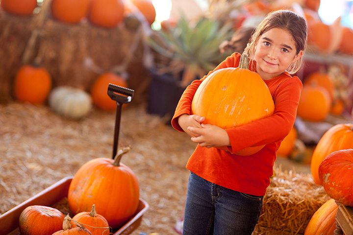 woodburn pumpkin patch