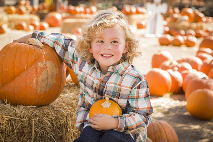 pumpkin patch beaumont ca