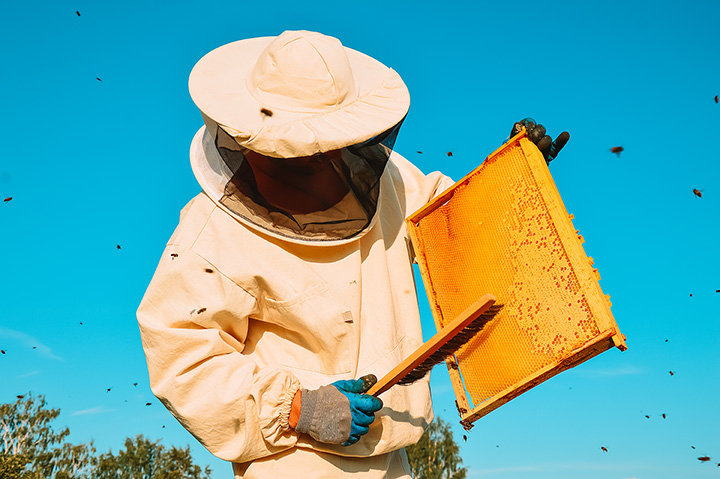 100% Pure Beeswax Direct from a Beekeeper – Ames Farm Single Source Honey