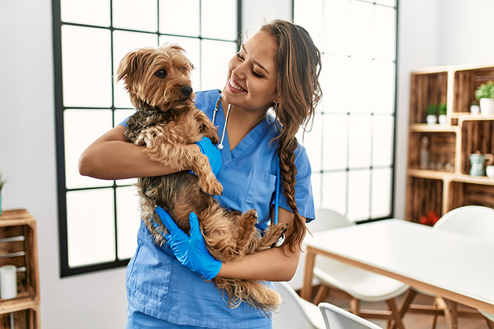 Golden valley best sale veterinary clinic