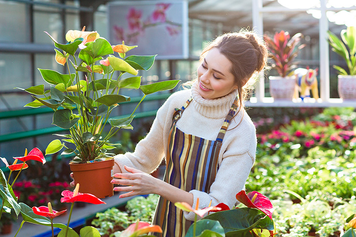 Garden Centers And Nurseries In Montana