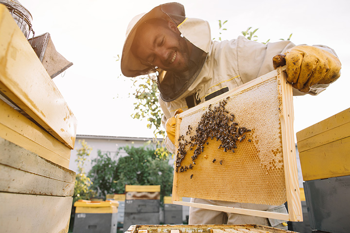 Pure Beeswax  Rock Creek Farm