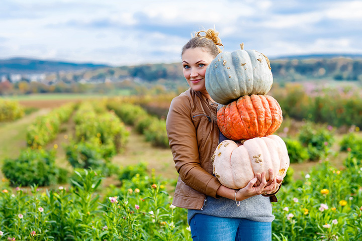 mcdowell pumpkin patch