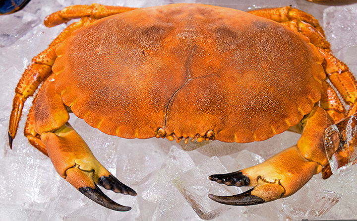 10 Best Seafood Markets In New Jersey   Nj Sea Food Market 1 