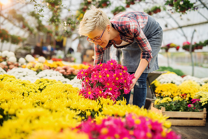 Nursery and Garden Shop in Park City, Utah - PARK CITY GARDENS