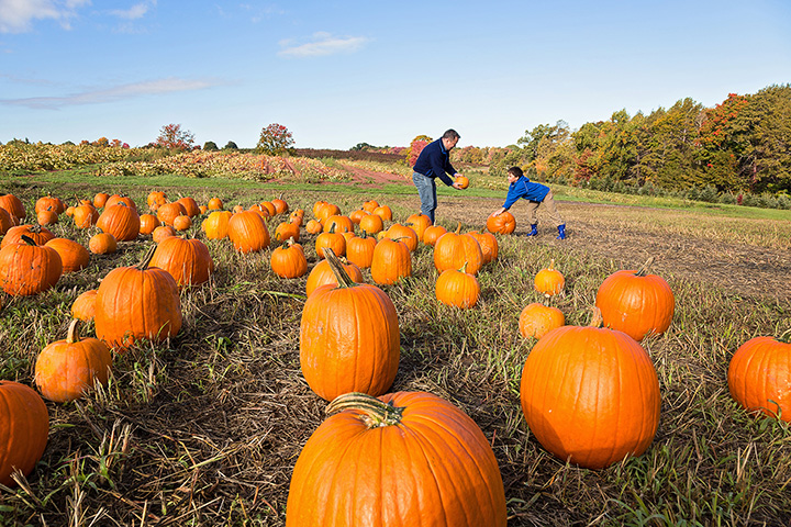 richmond hill ga pumpkin patch