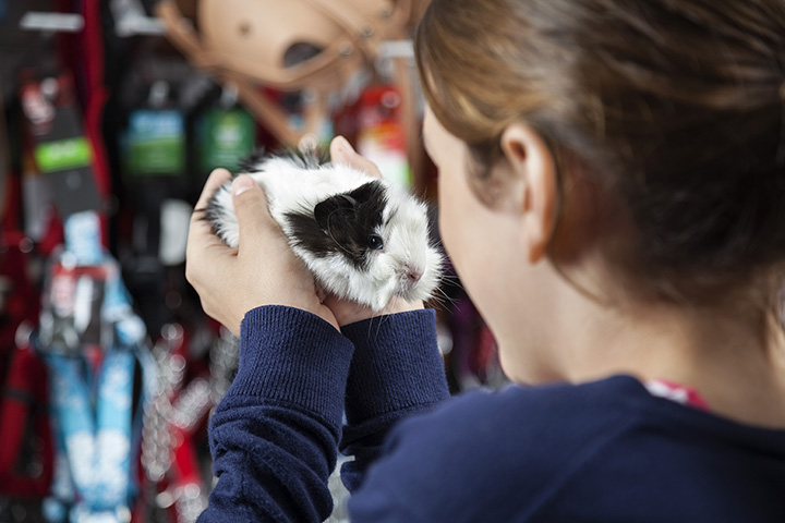 Pet store with clearance pets