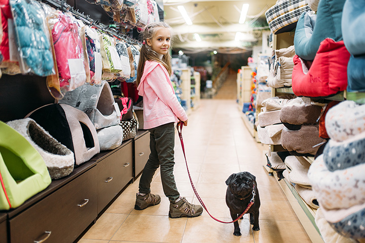 Ok google pet store stores near me