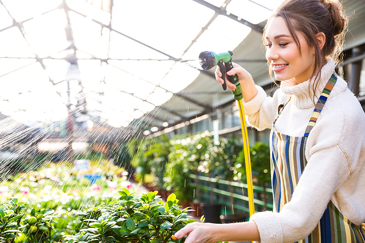 The 8 Best Garden Centers and Nurseries in Virginia