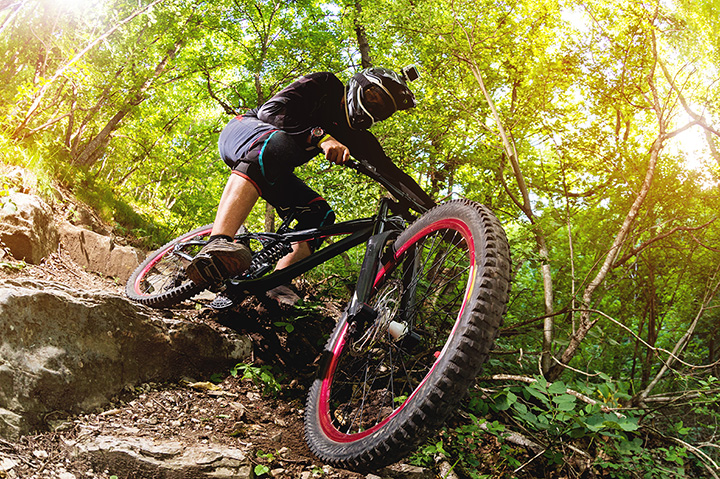 The 10 Best Mountain Biking Trails In Virginia