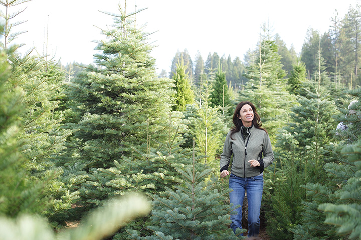 9 Best Christmas Tree Farms in Washington State