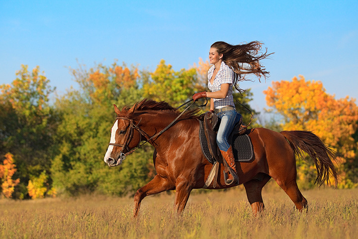 Horseback Riding Lesson Smith Mountain Lake