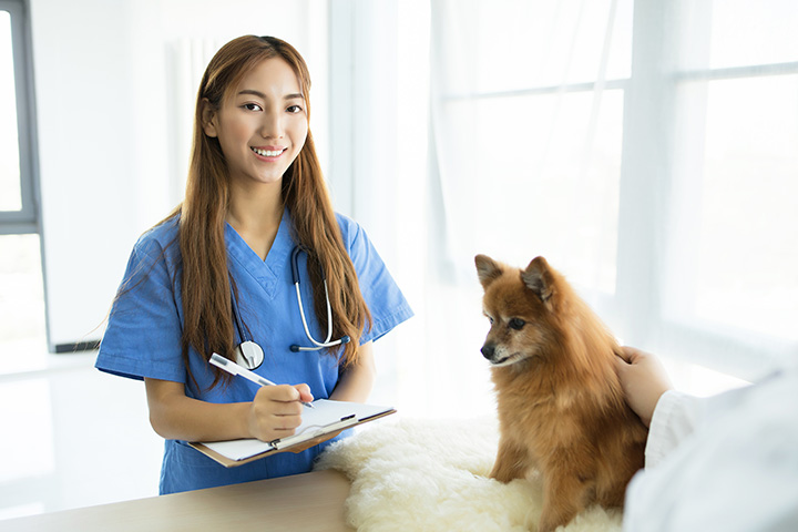 Veterinary Clinic of the Mineral Area